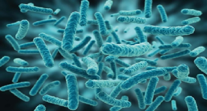 Enzyme Là Gì? Vì Sao Vi Sinh Có Thể Phân Hủy Được Thức Ăn Dư, Phân Tôm Và Bùn Đáy? enzym nuoi tom