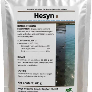 hesyn b
