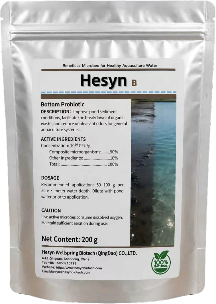 hesyn b hesyn b