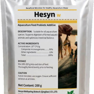 hesyn w