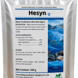 hesyn q