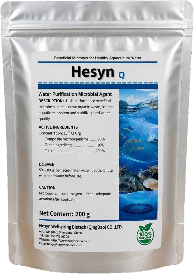 hesyn q hesyn q
